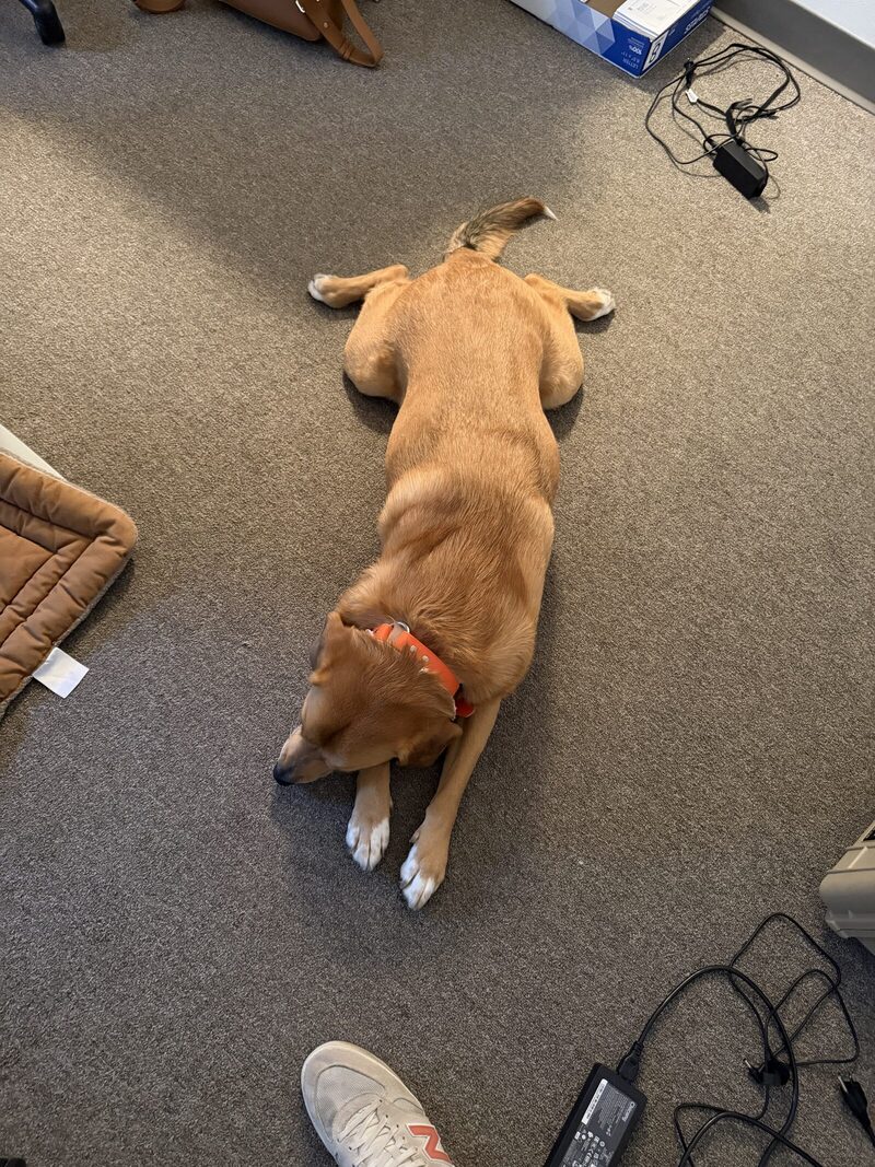 Cooper, Exhibit E: Post-litigation nap, billable hours 0.0.